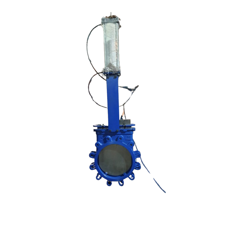 Knife Edge Gate Valve 3